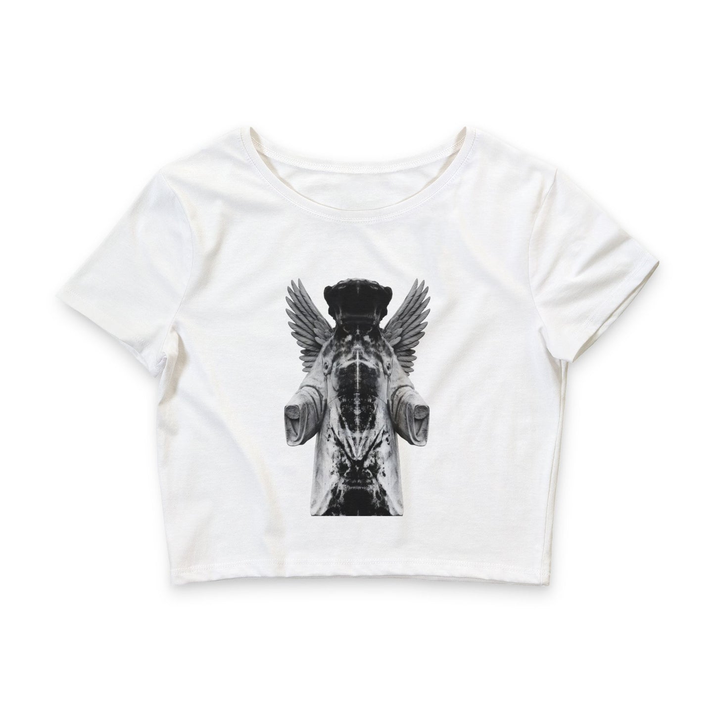 Winged Horse Crop Tee — Mythical Pegasus Graphic Women’s Crop Top